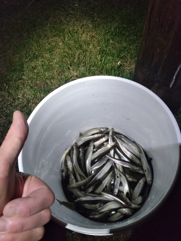 20250428_025607.jpg