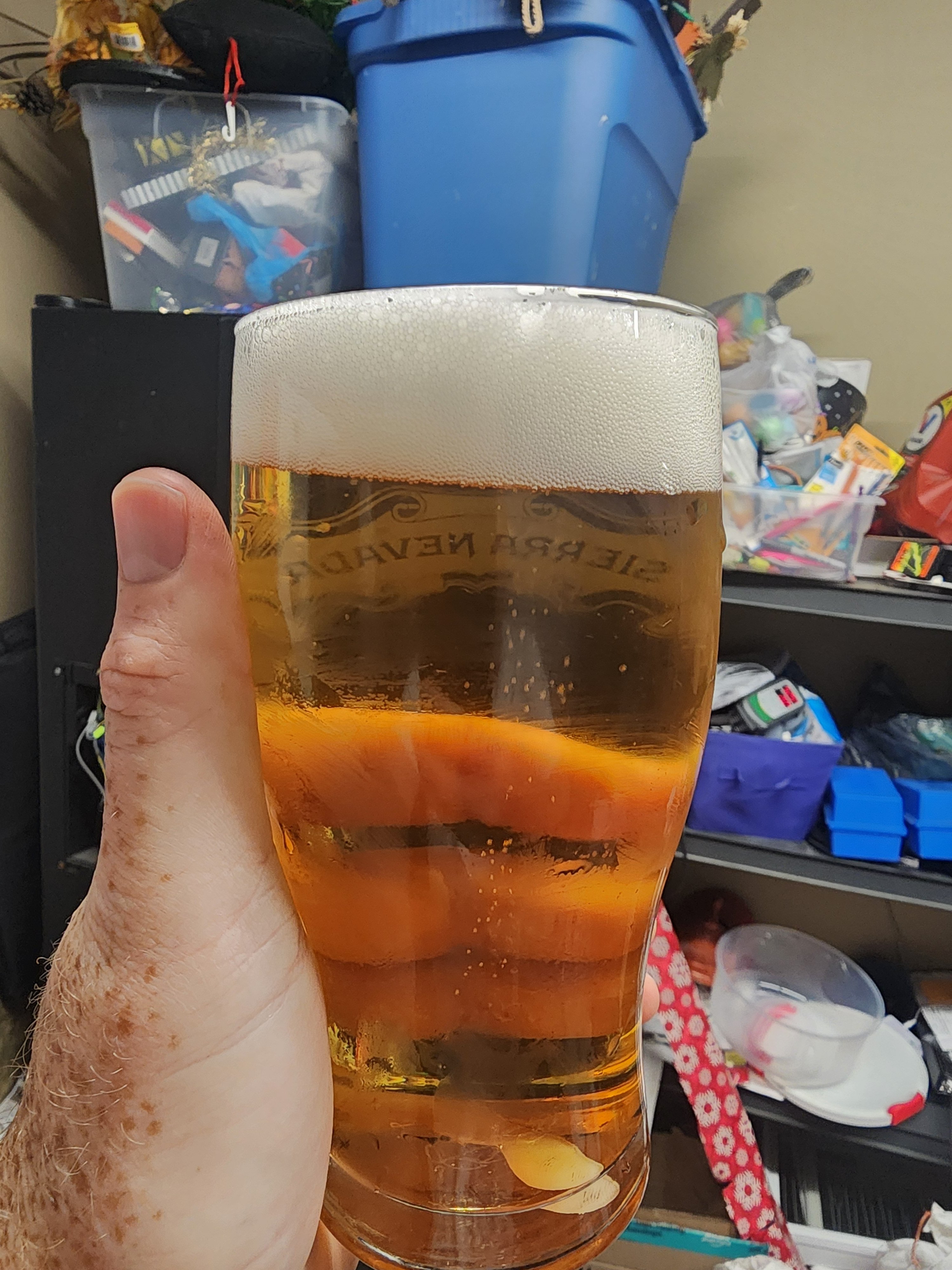 1000004229.jpg