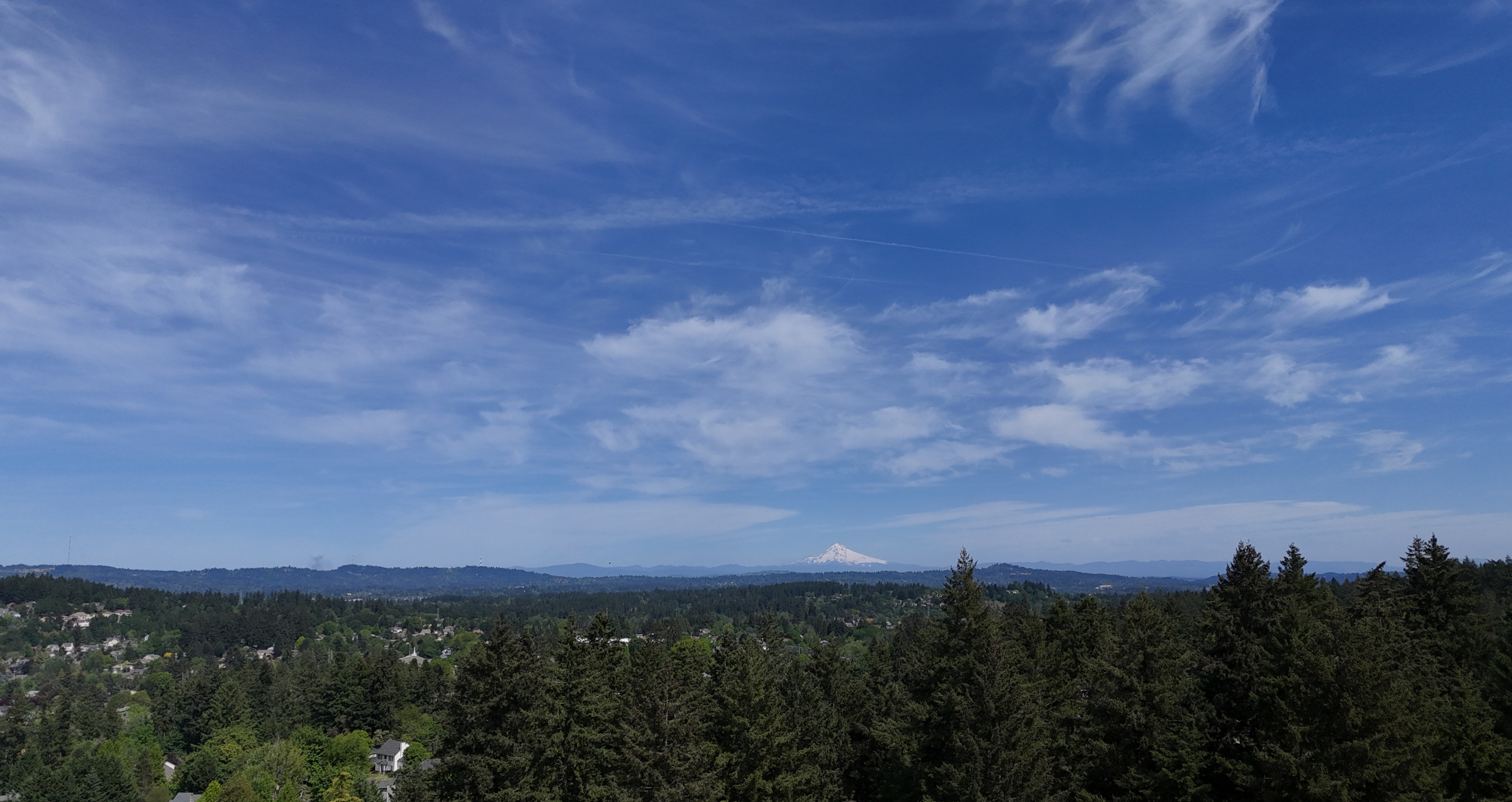 dji_fly_20250508_150542_0381_1746809350406_photo.jpg