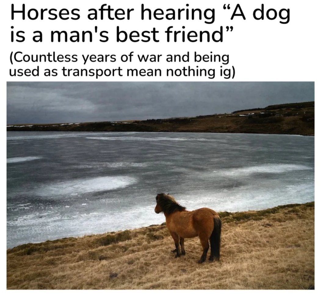 ride or die friends.jpg