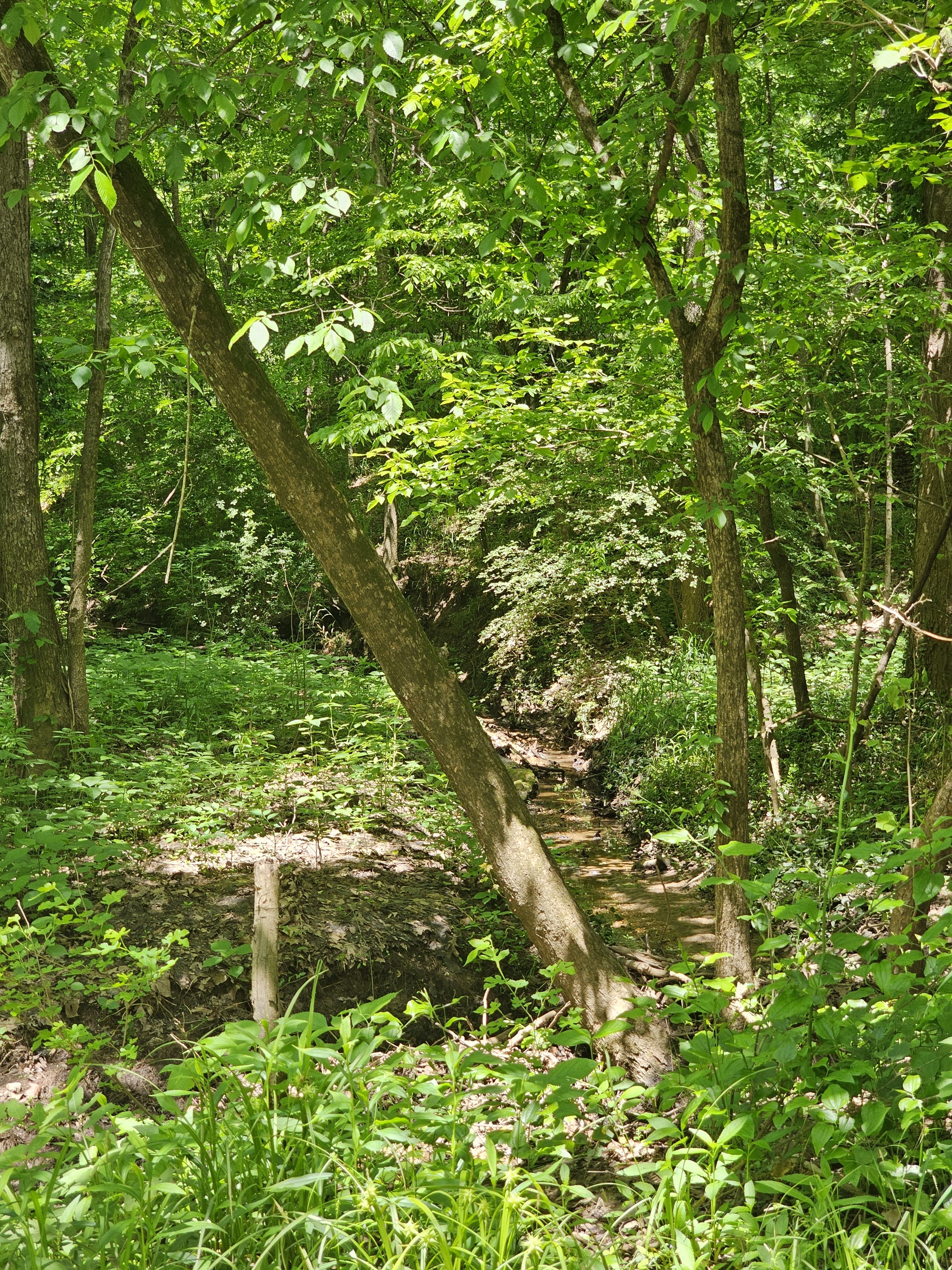 20250513_120907.jpg