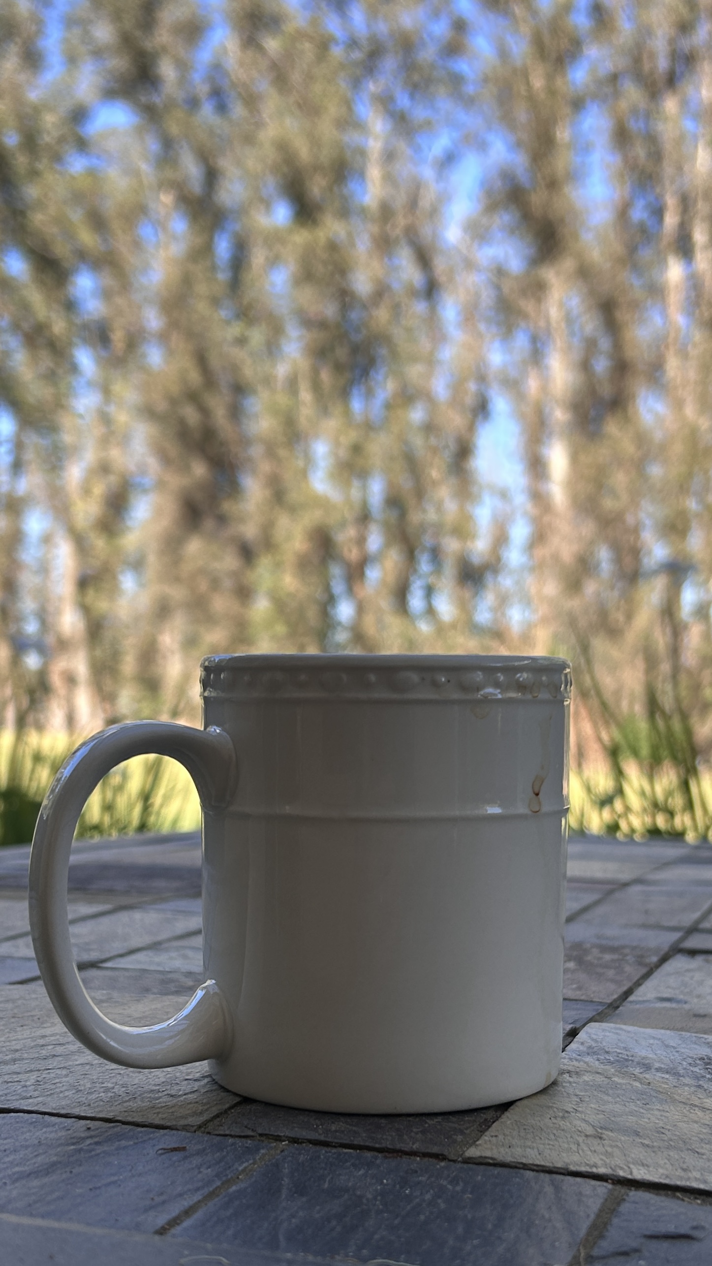 IMG_5615.jpeg