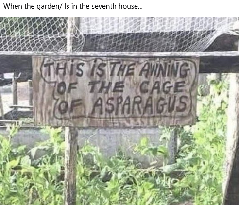 1747753027279.png