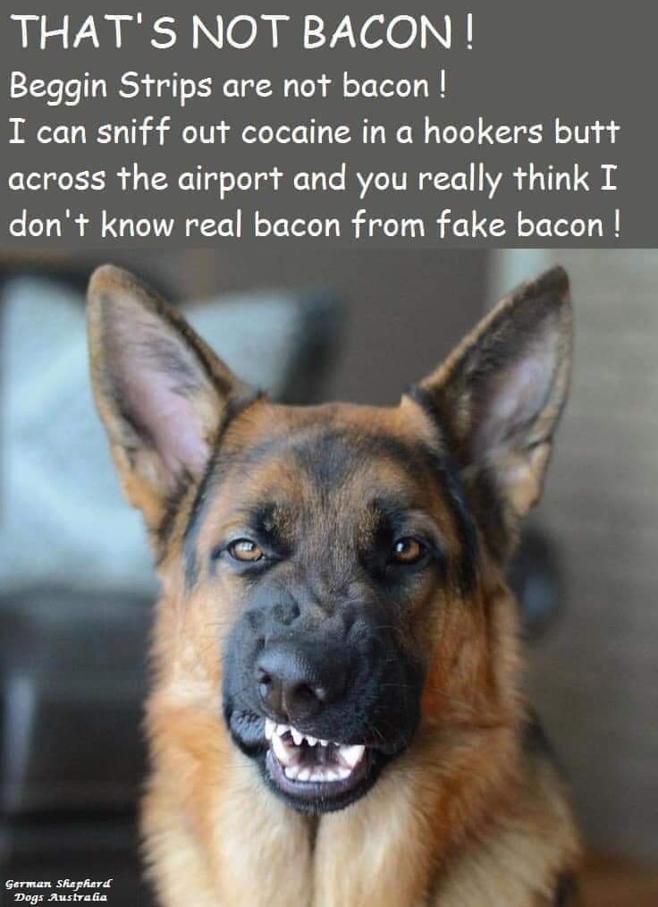 FB_IMG_1695266464252.jpg