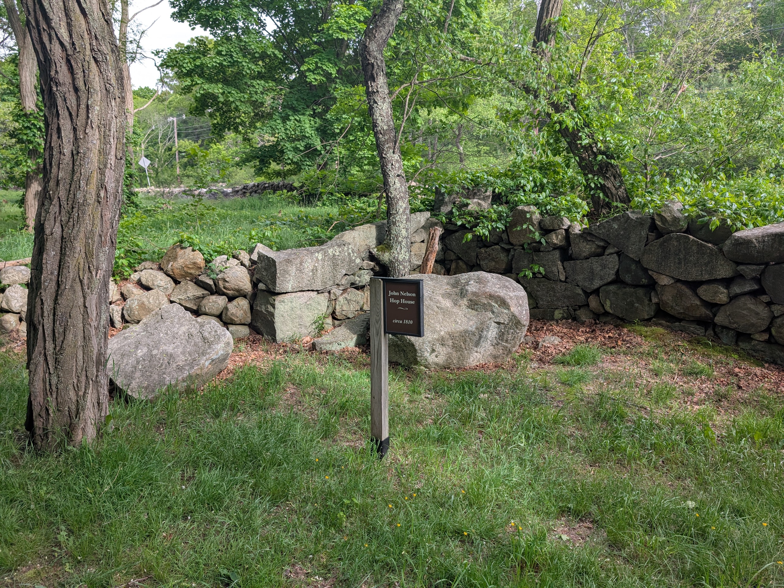 PXL_20250525_204555782.jpg