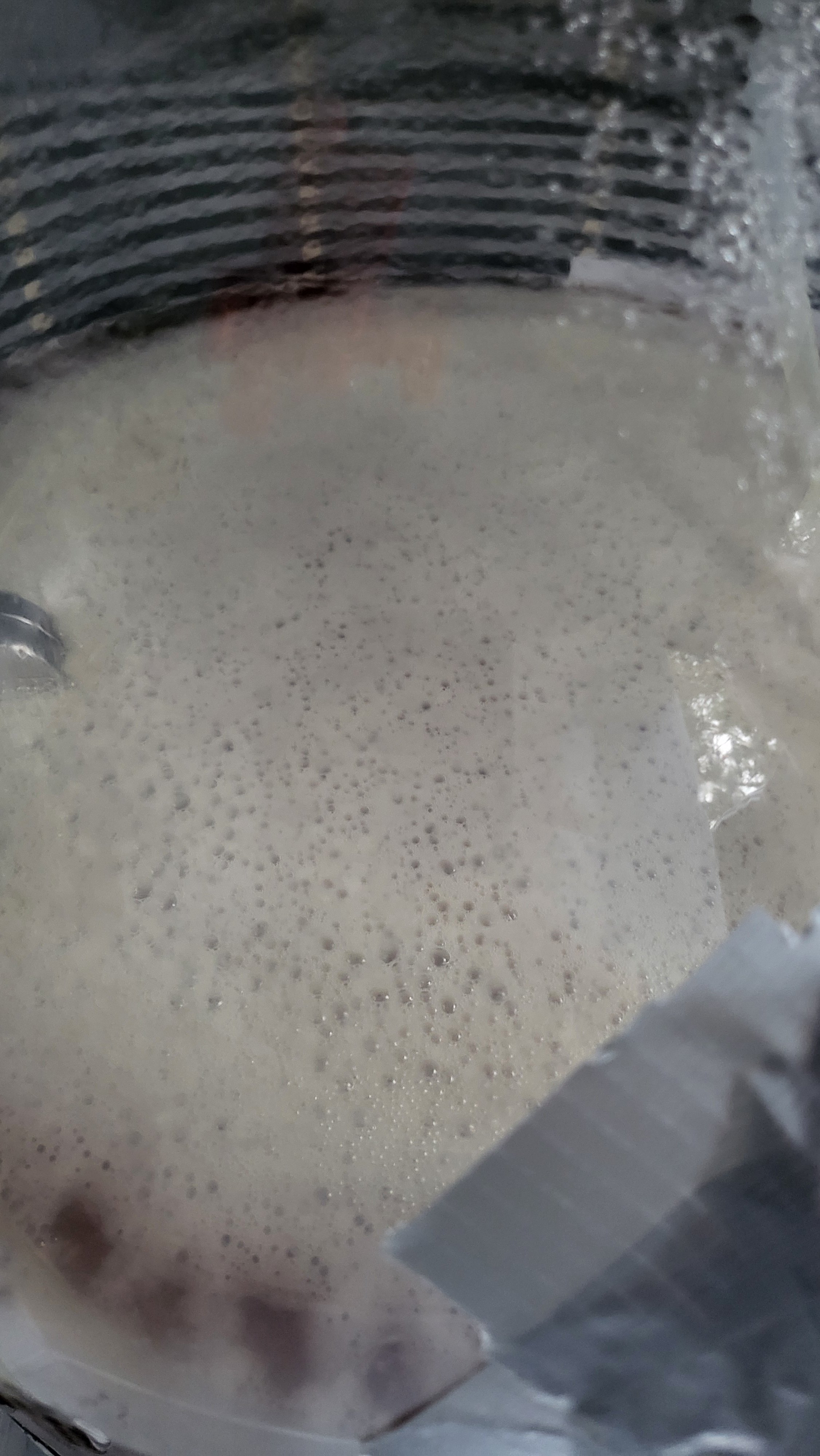 20250610_063052.jpg