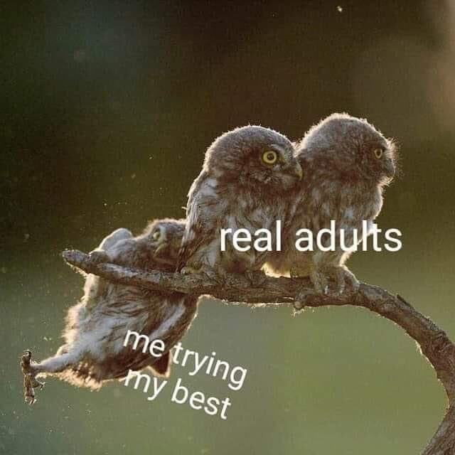 4e60eebfccf30c636b69cefb4272290e.jpg