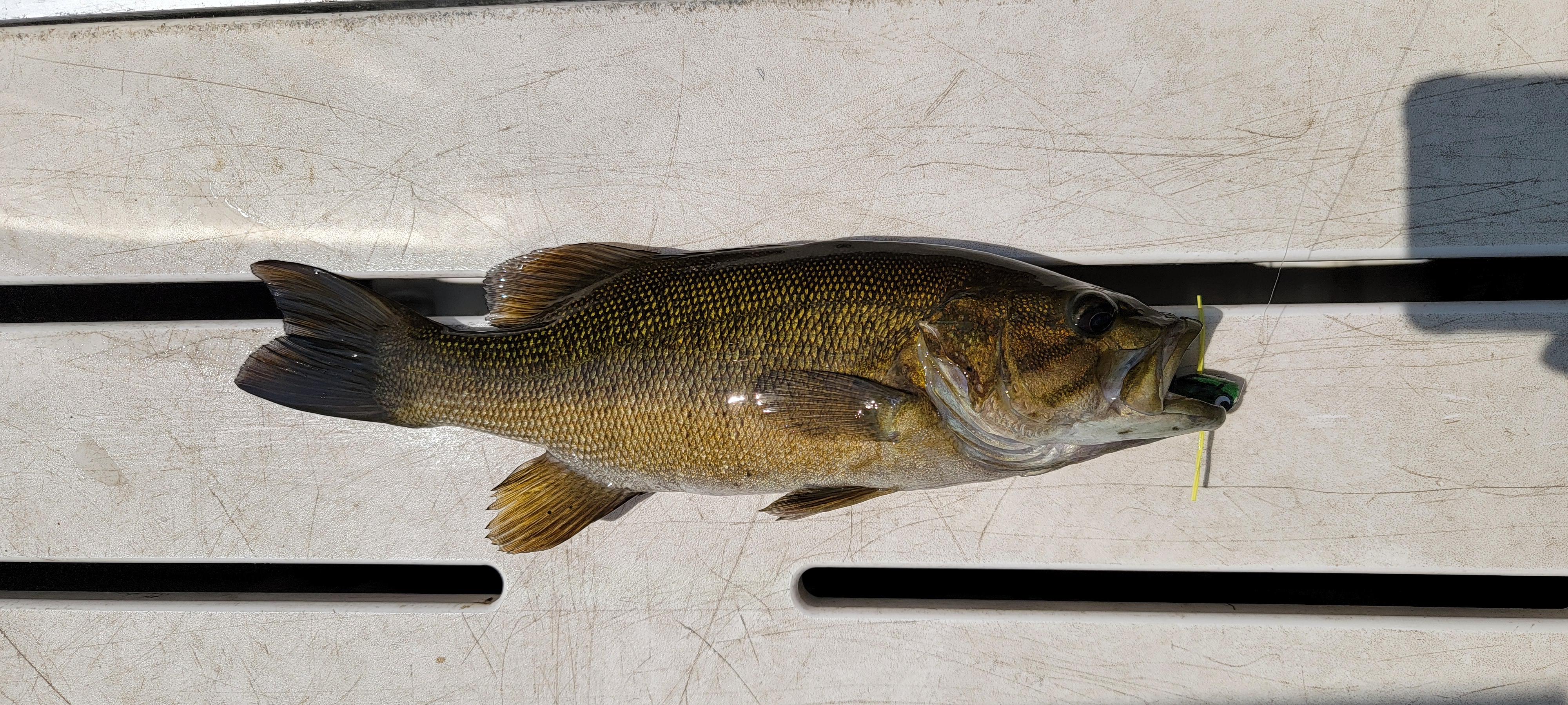 12june2025_fishing_2.jpg