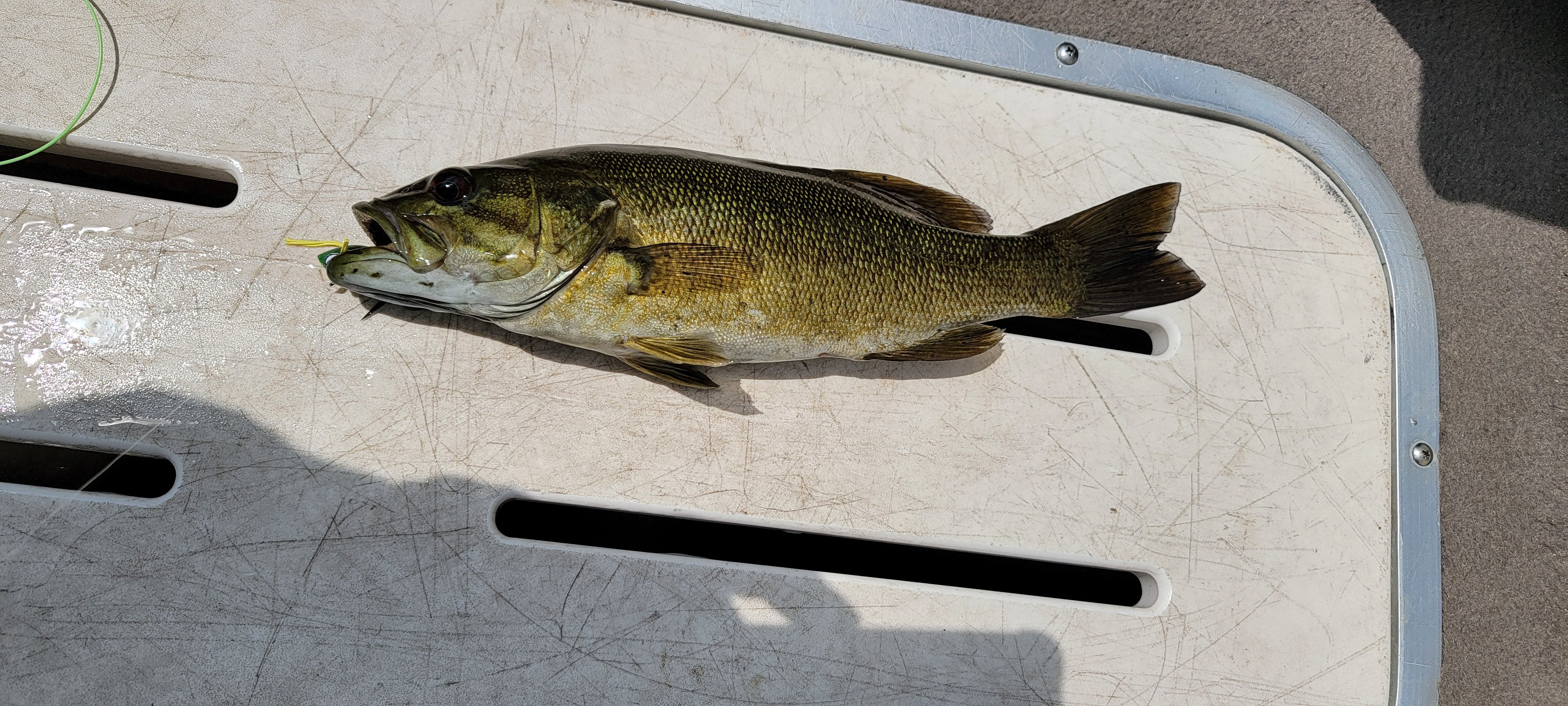 12june2025_fishing_3.jpg