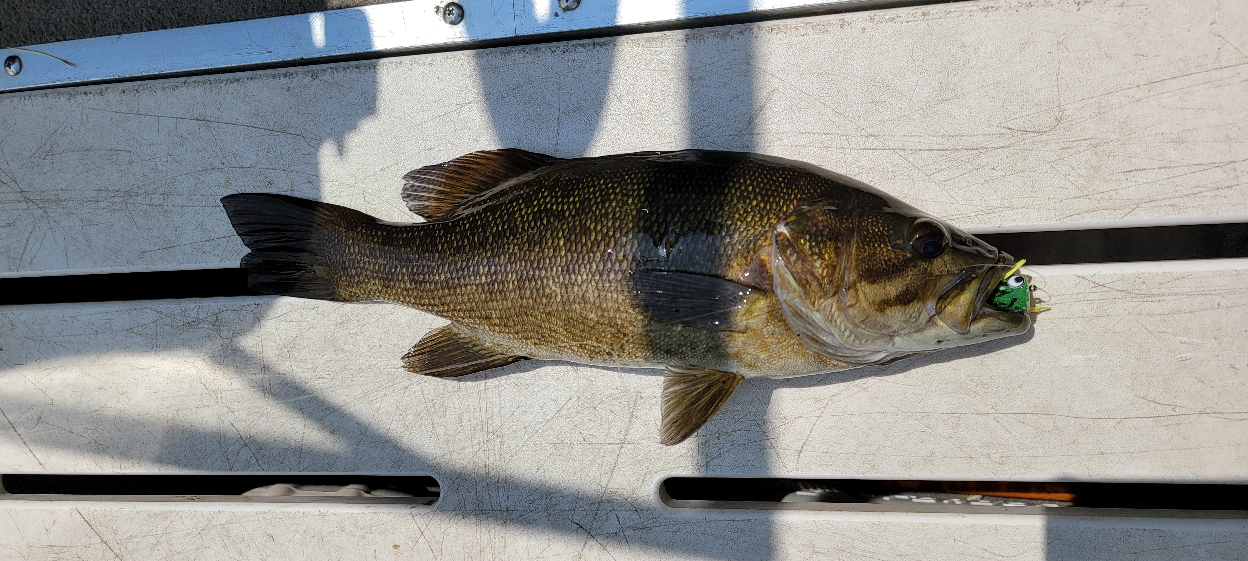 12june2025_fishing_6.jpg