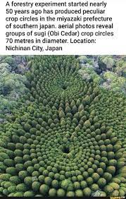 IMG_0676.jpeg