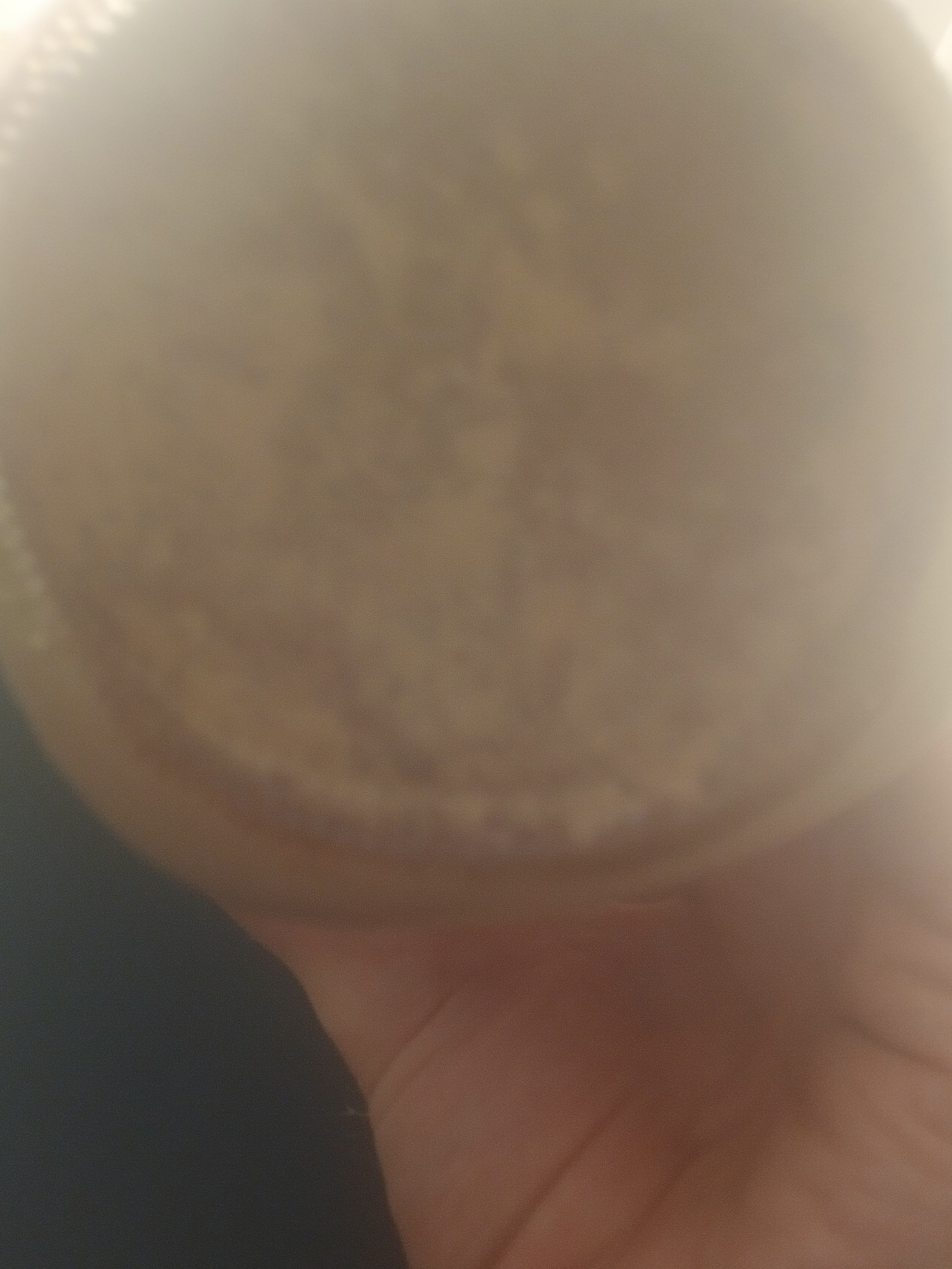 20250614_091210.jpg