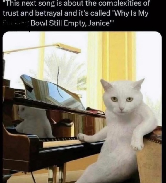pianocat.jpg