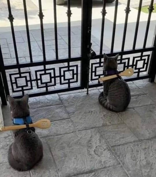 catrestraint.jpg
