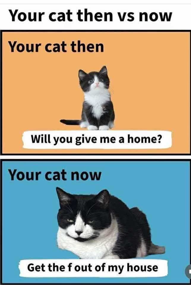 now & then.jpg