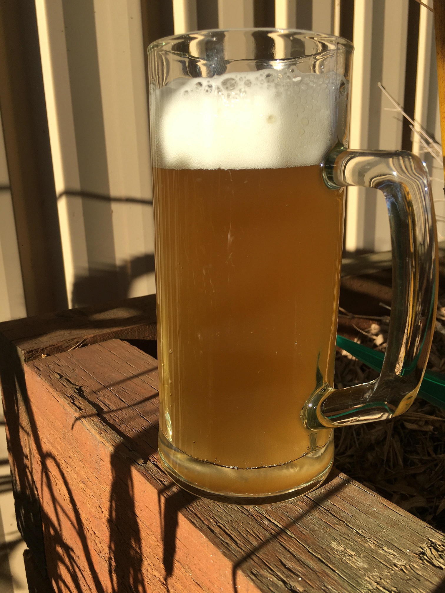 Witbier.jpg