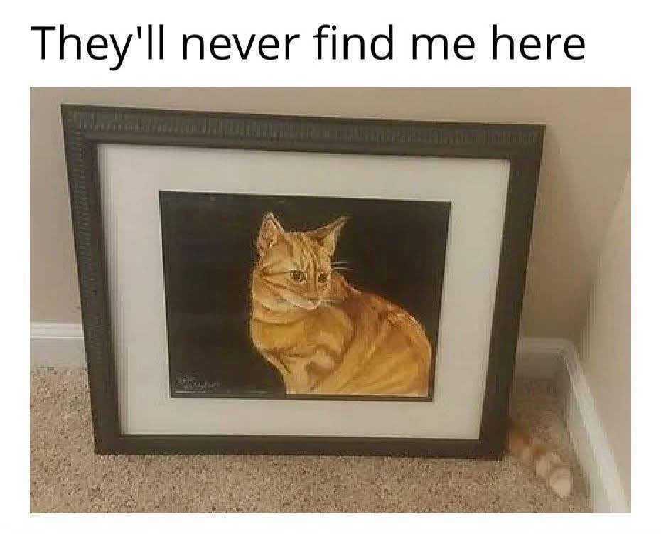 perfectly hidden.jpg