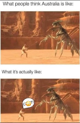 IMG_2439.jpeg