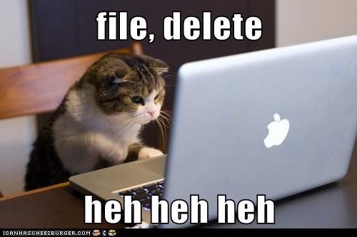 catdeletehehehe.jpg