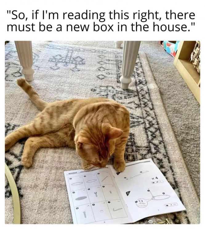 newbox.jpg