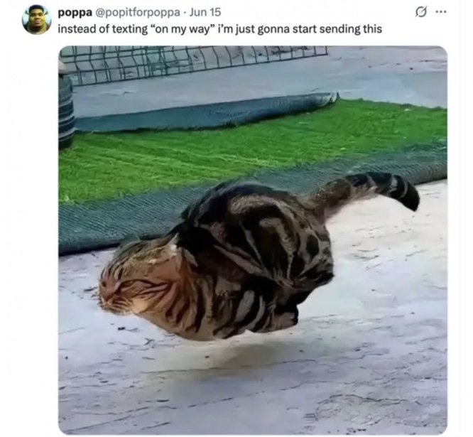 OMW.jpg