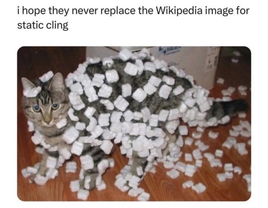305a45acb74b97662b659413c045e08fb6593e0d9bfaa45162e1f5aec5d18440.jpg