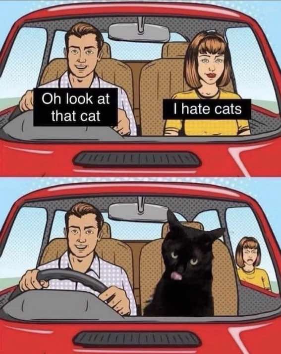 Lookit.jpg