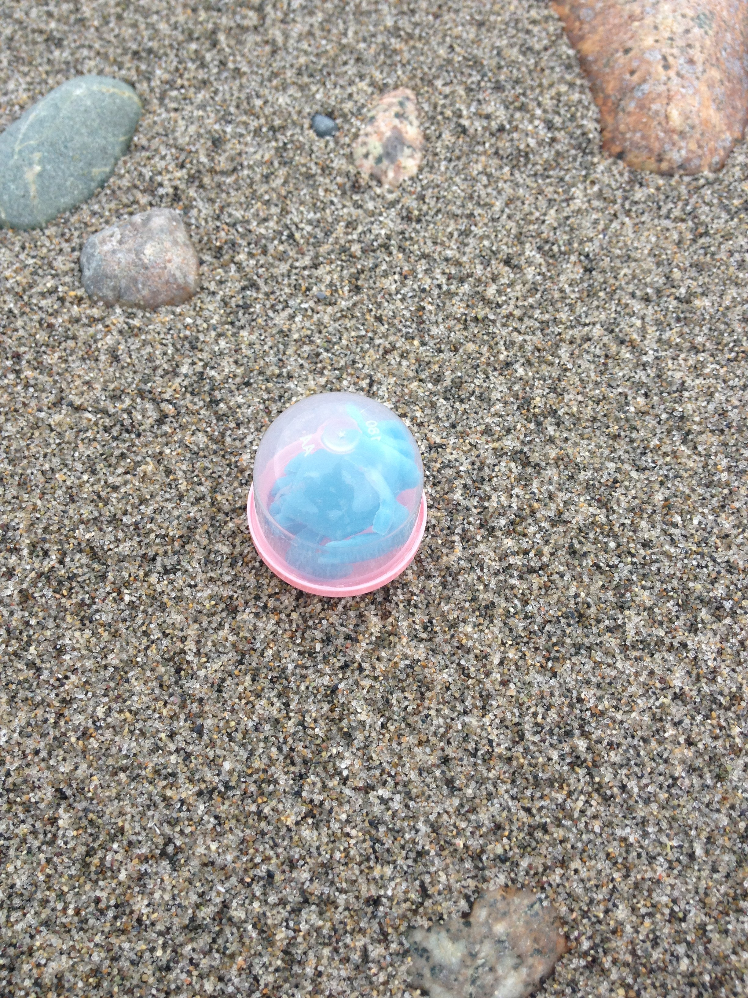 IMG_1003.jpeg