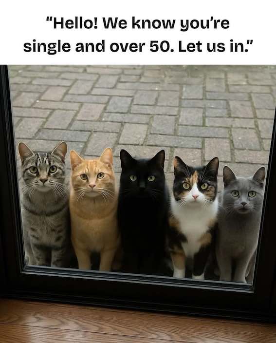 smørgåsbord.jpg
