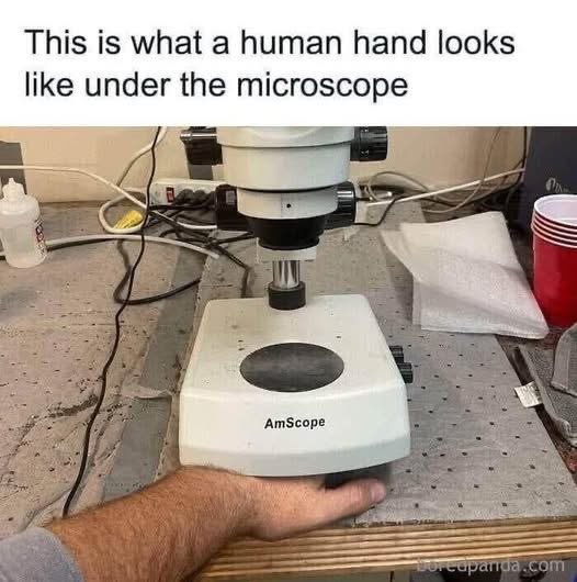 1752106331837.jpeg
