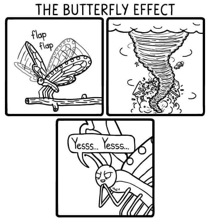 butterfly yesssss.jpg
