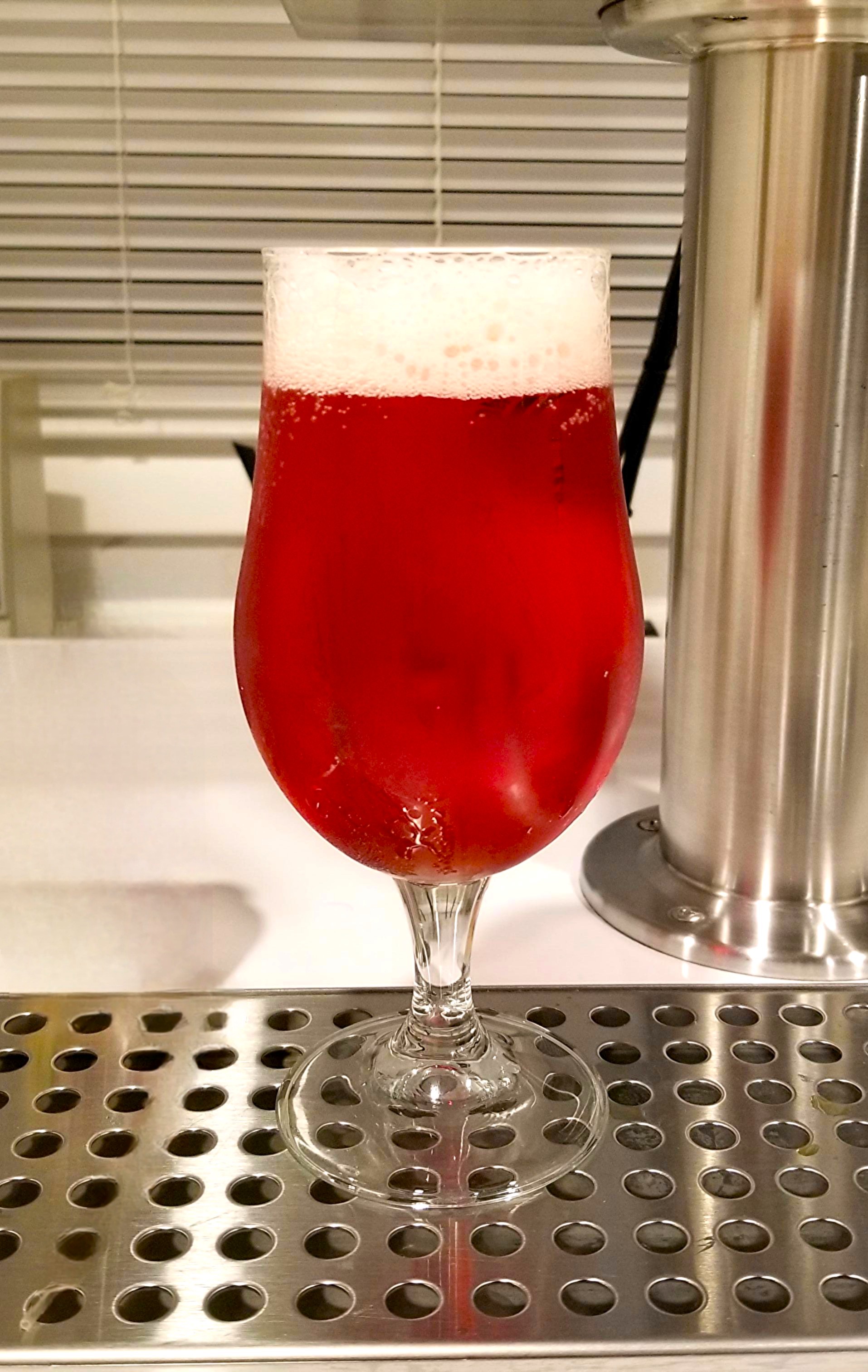 raspbiscus_17jul2025.jpg