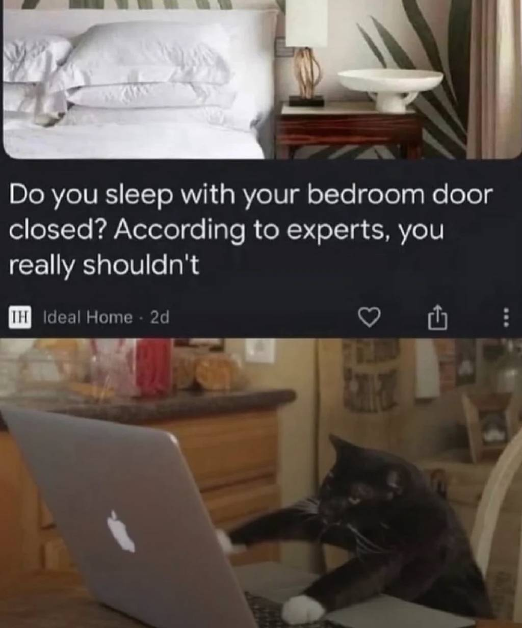 image-4.png