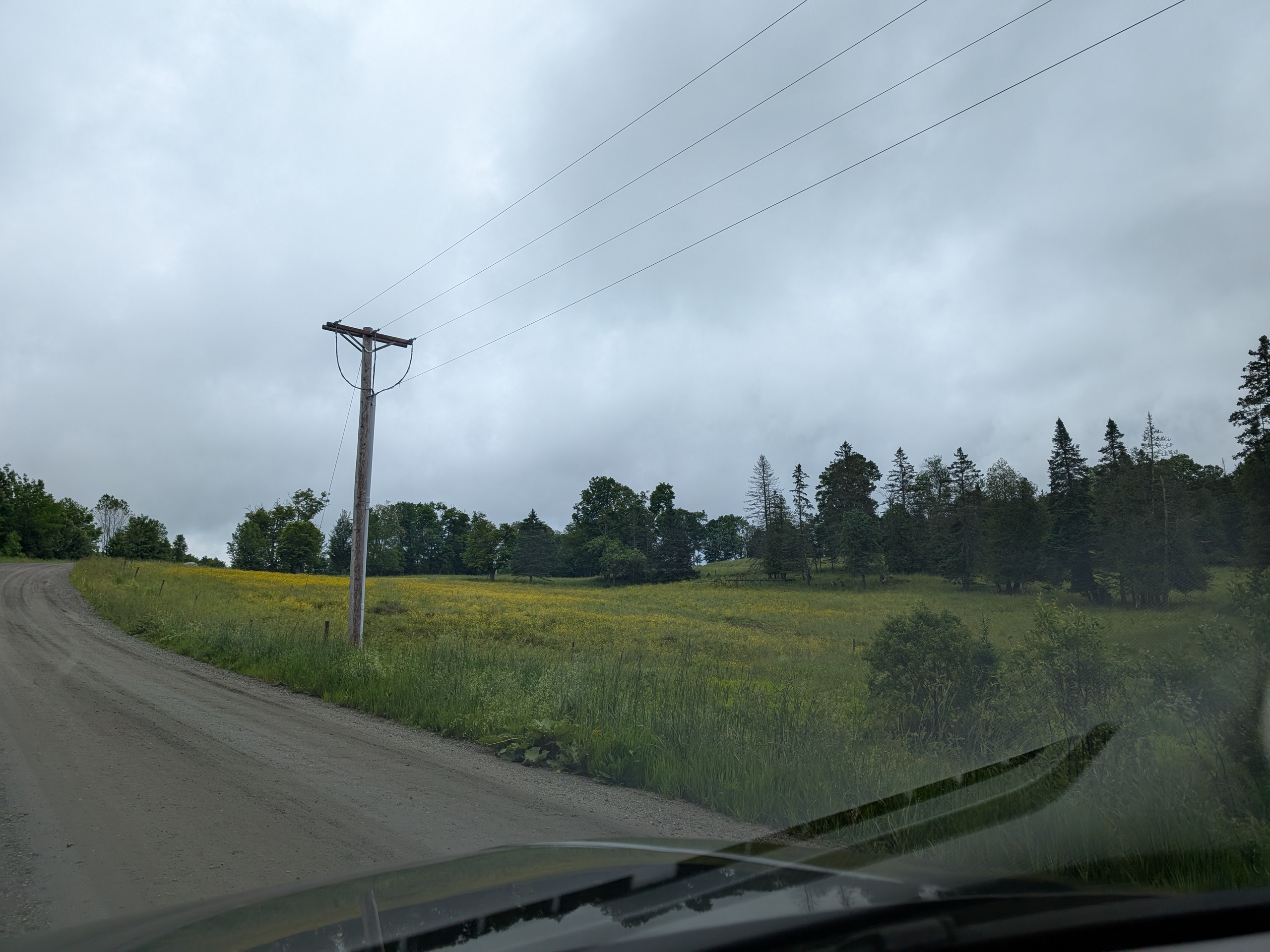 PXL_20250620_170836363.jpg