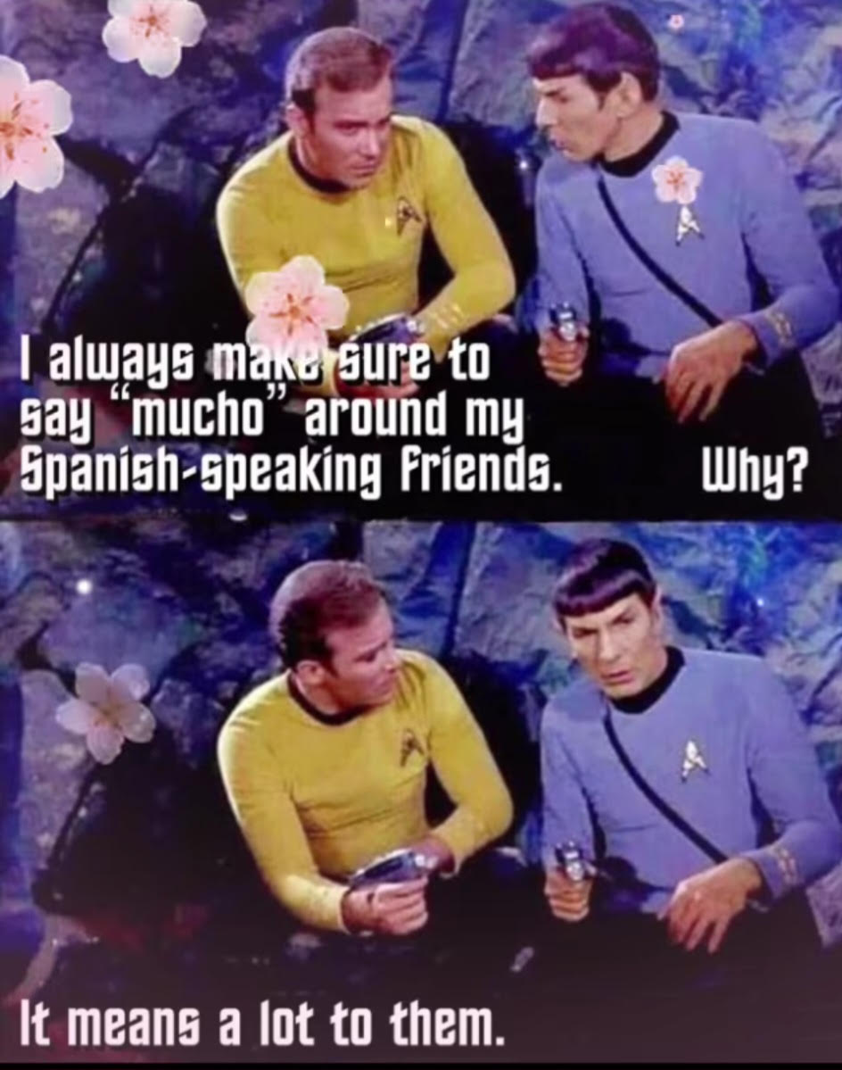 1753204973351.jpeg