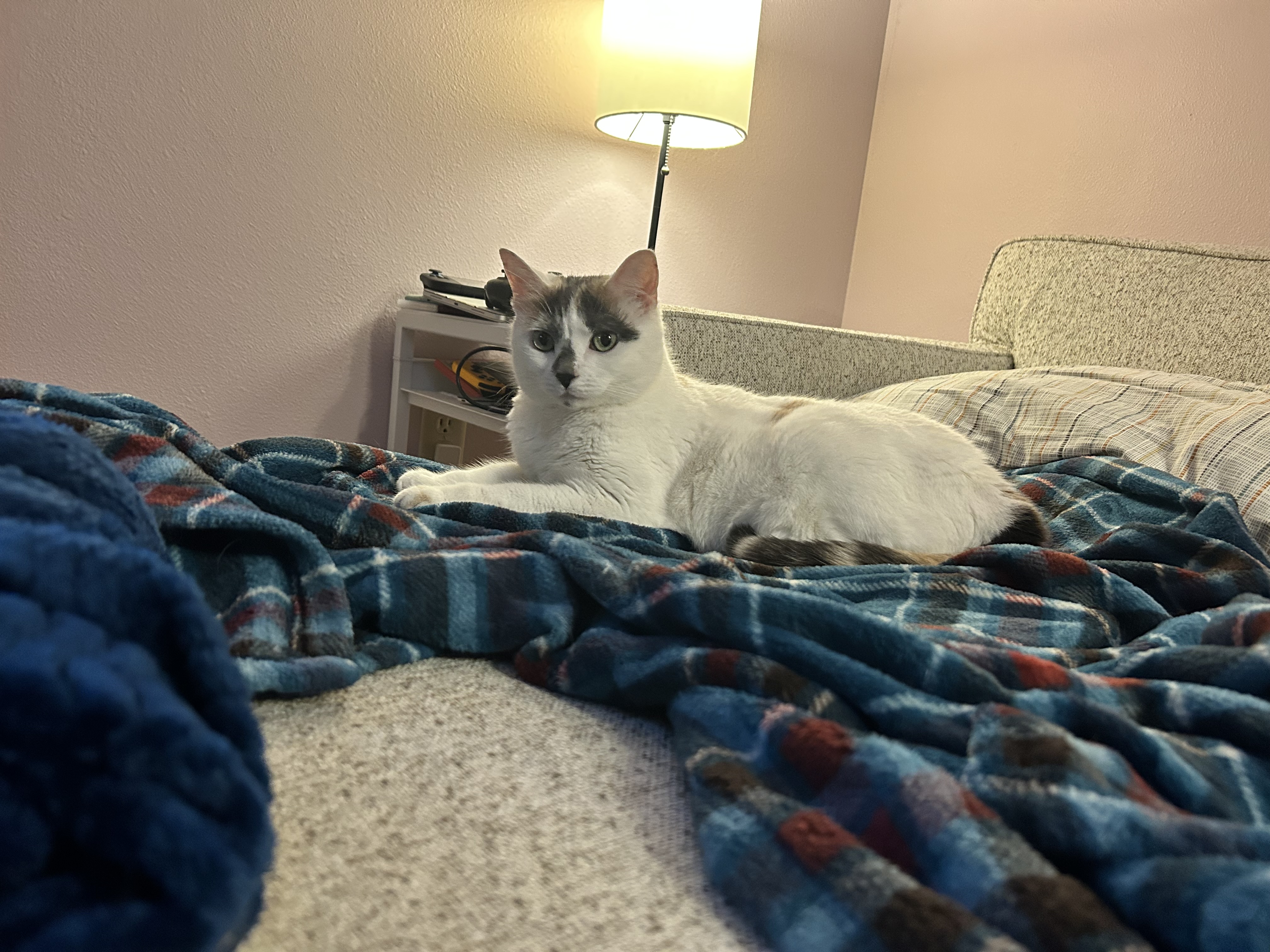 IMG_2302.jpeg