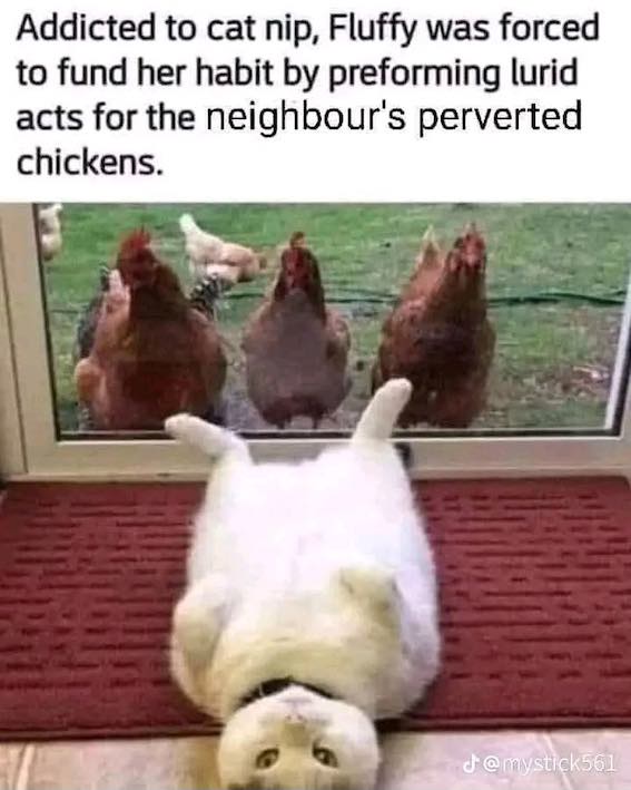 perverted chikkuns.jpg