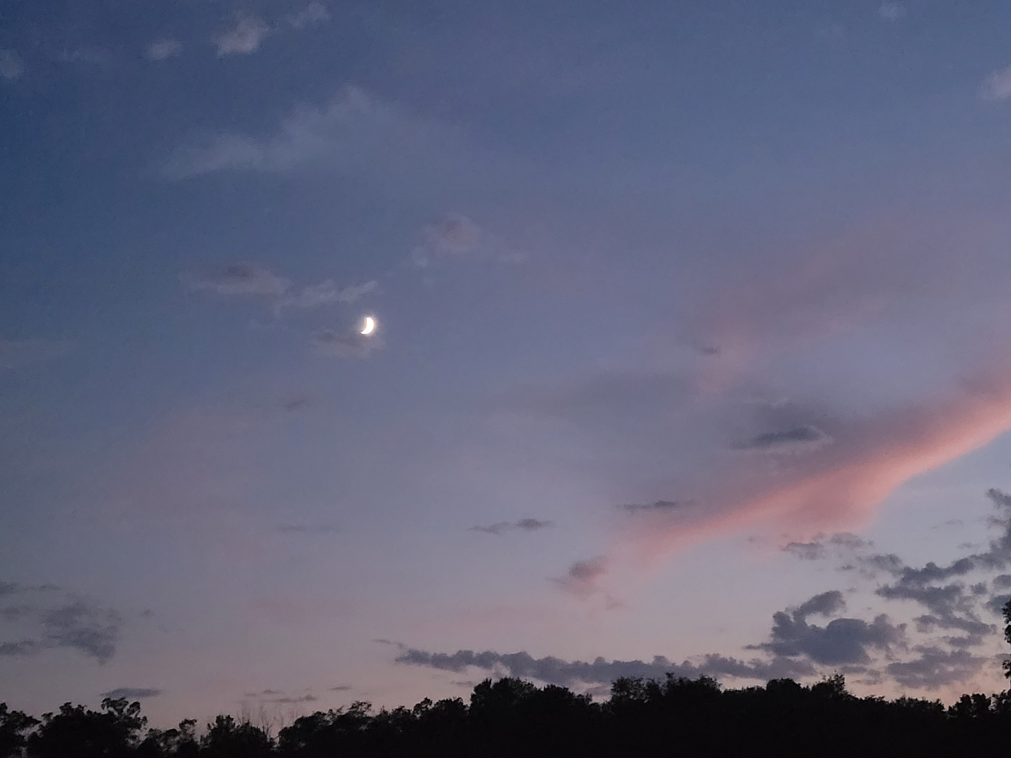 20250729_210454.jpg