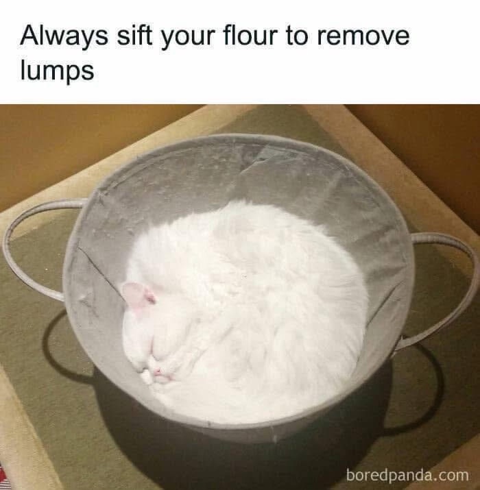 Lumps.jpg