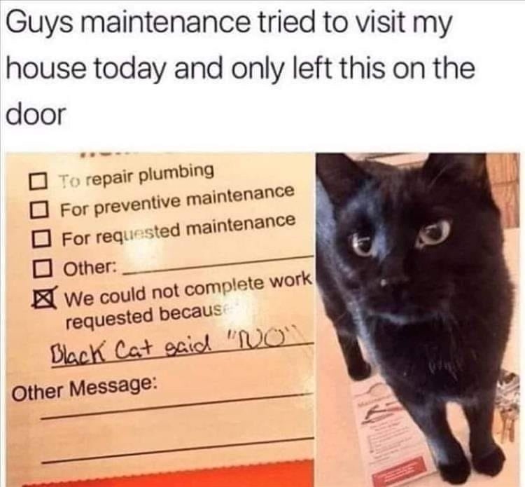 blackcatsaidNO.jpg