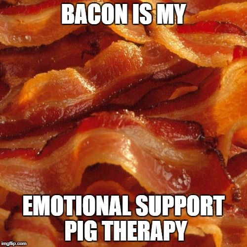 emotionalsupportpig.jpg