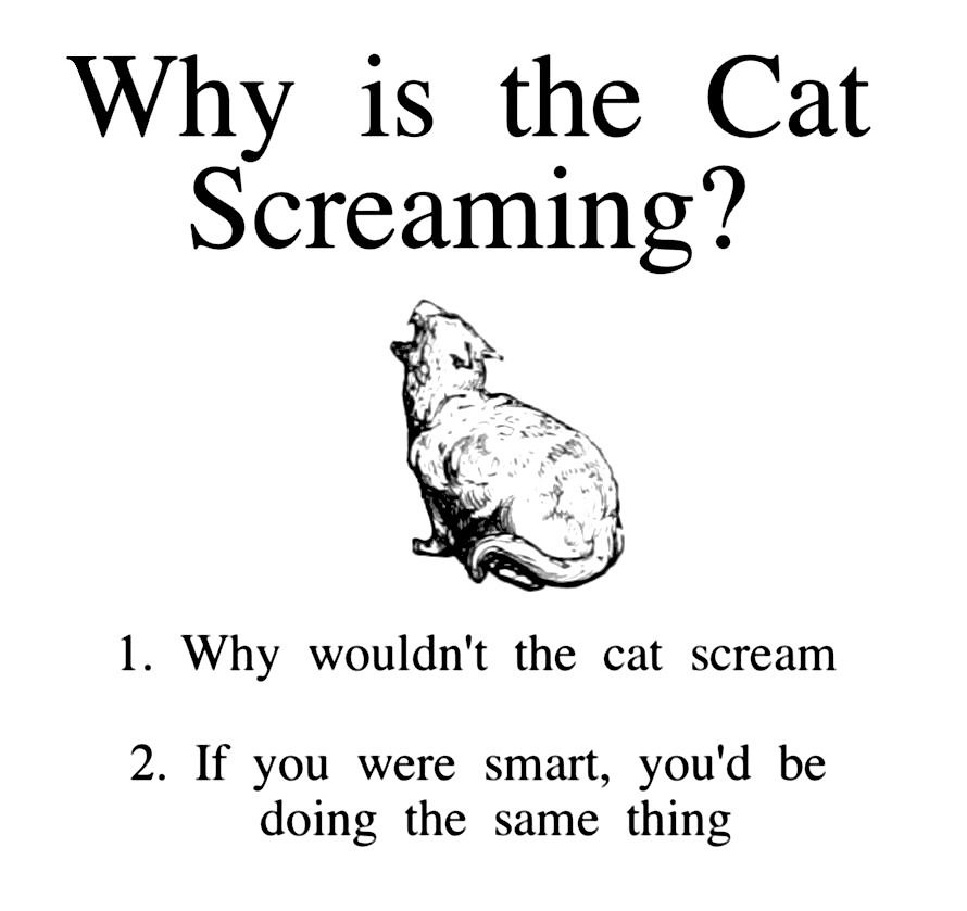 Whycatscreaming.jpg