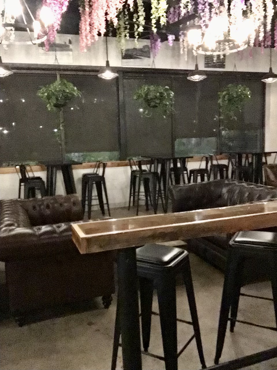 CA0862C9-F3E6-4D34-B9D8-0D24D62A5B51.jpeg