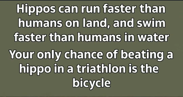 1755130756410.png