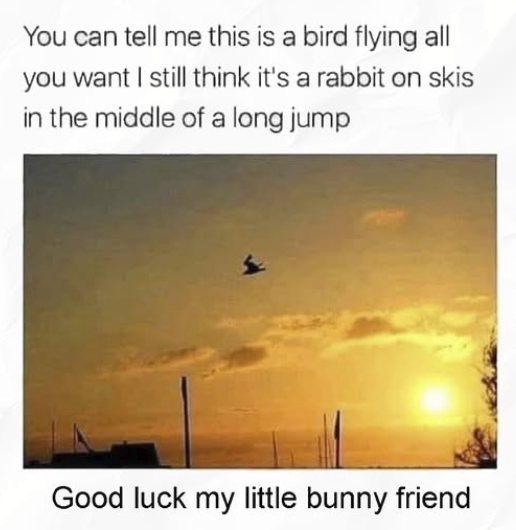 1756000246974.png