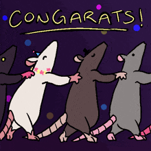 rat-conga.gif