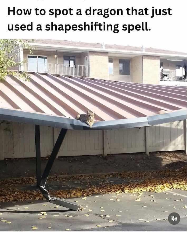 DWAGON.jpg