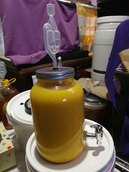 oj.jpg