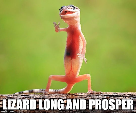 LizardLong.jpg