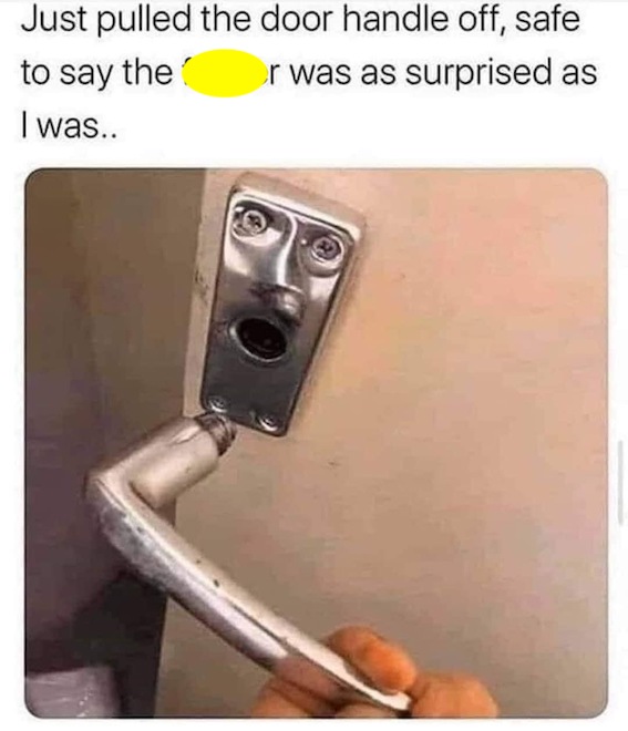 5f404c544d534-3164707289.jpeg